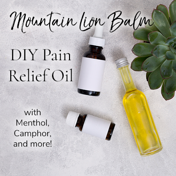 DIY Pain Relief Oil - More powerful than Tiger Balm! Learn more at WildHemlock.com