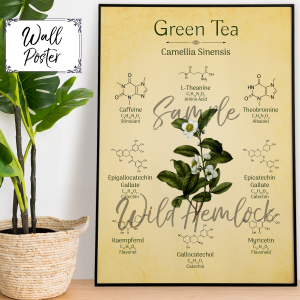 Green Tea Botanical Illustration Chemistry Science Boho Art Print