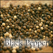 Black Pepper. Learn more about Black Pepper at WildHemlock.Com