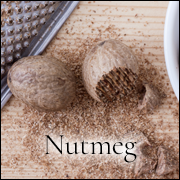 Nutmeg. Learn more about Nutmeg at WildHemlock.com