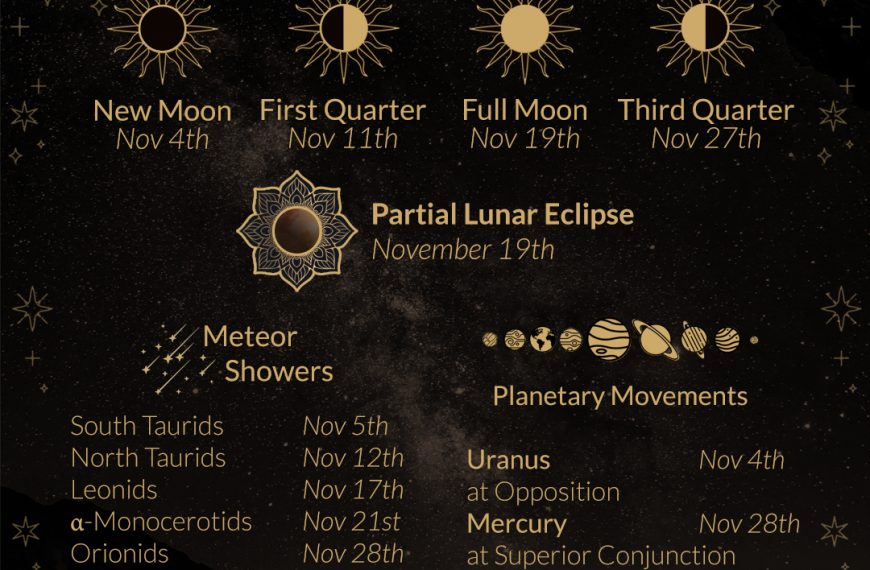 November 2021 Moon Phases and More Featuring Meteor Showers and a Lunar Eclipse! Learn More at WildHemlock.Com!