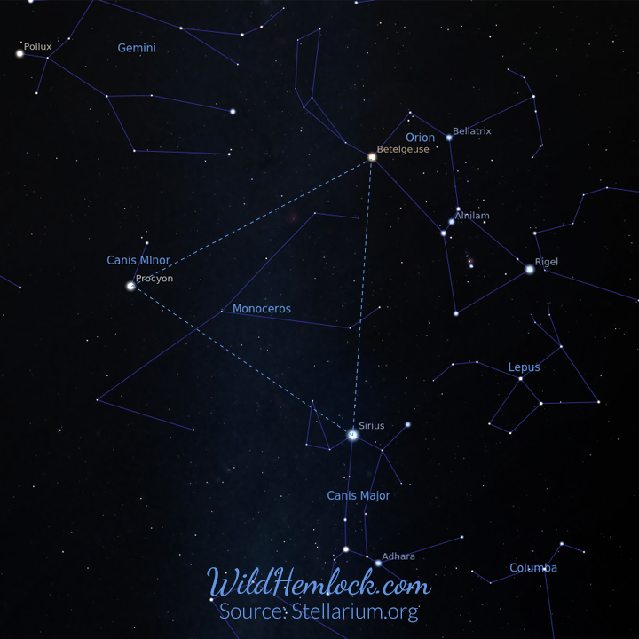 The Winter Triangle Asterism Constellation . Learn more at WildHemlock.Com. Source: Stellarium.Org