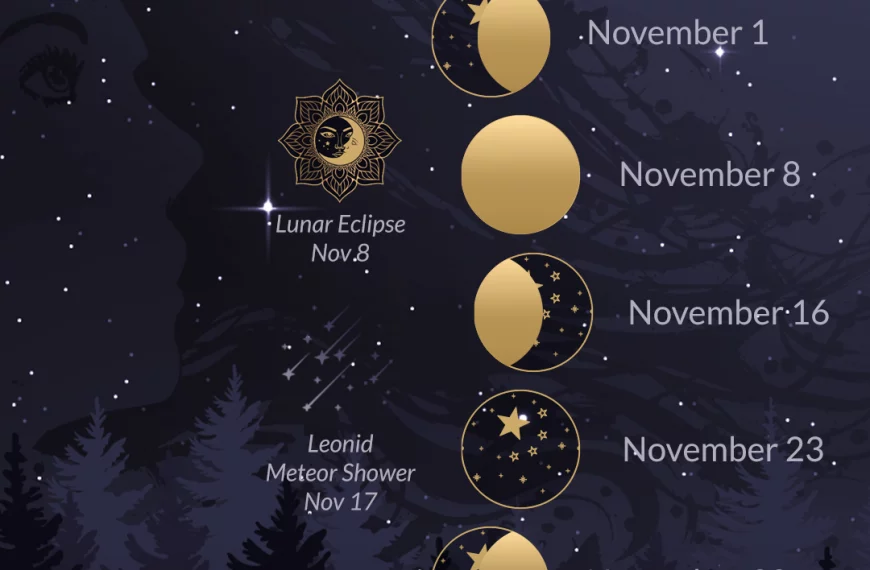 Moon Phases, Eclipse, Meteor Showers, and more for November 2022 at Wild Hemlock WildHemlock.Com