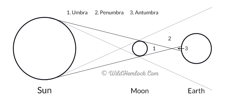 Hybrid Solar Eclipse, Triple Eclipse, Total/Annular Eclipse. Learn more about this rare eclipse at Wild Hemlock WildHemlock.Com